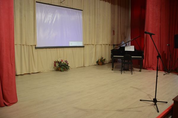 Культурно-досуговый сектор
