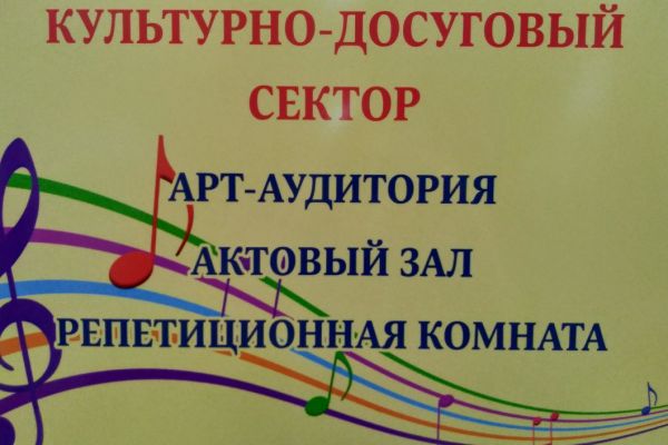 Культурно-досуговый сектор
