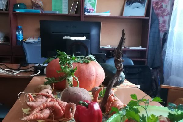 Выставка плодово-ягодных культур Чудеса их огорода