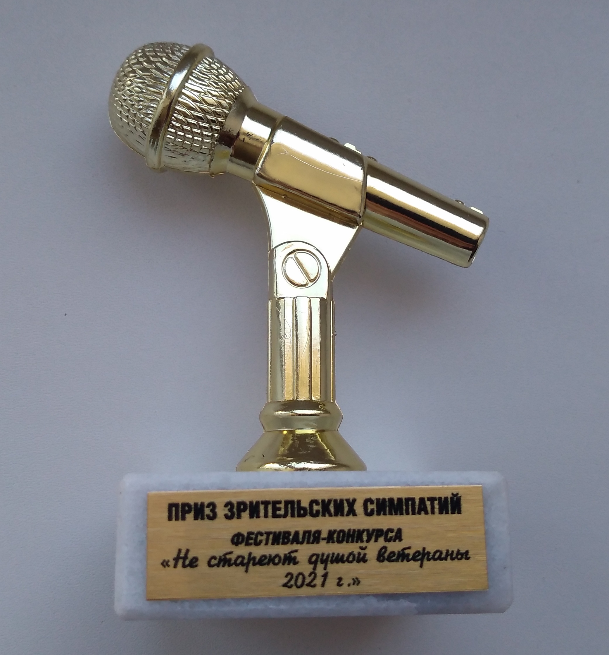 приз зрительских симпатий - Не стареют душой ветераны