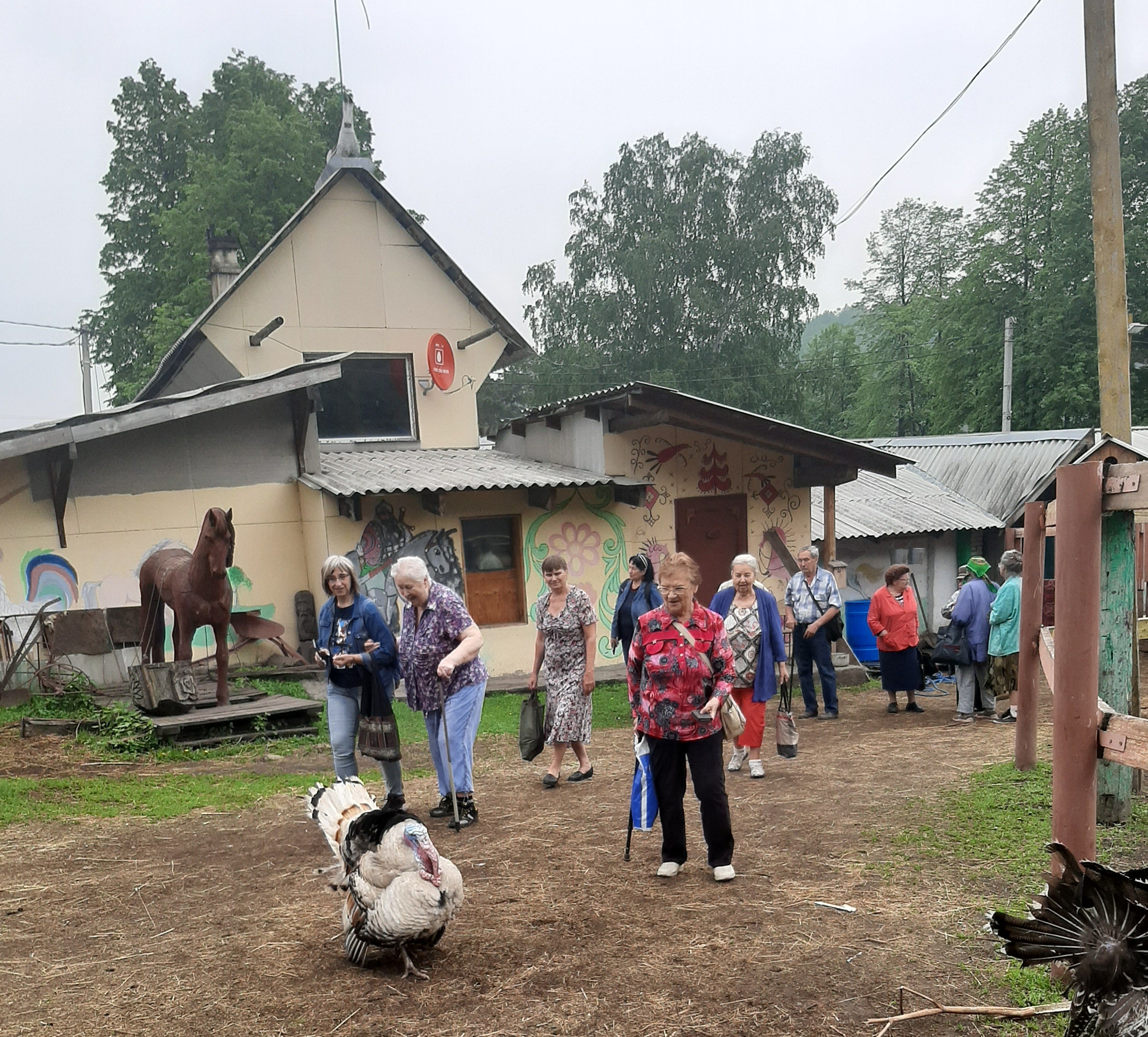 Фотографии с индюками
