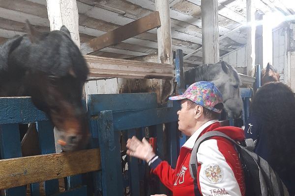 В конюшне