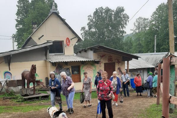 Фотографии с индюками