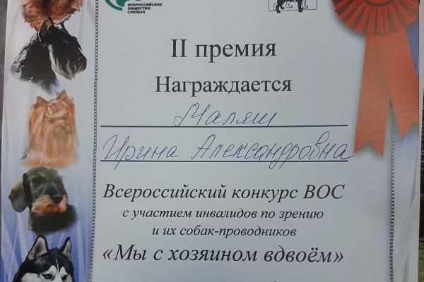 Диплом - Маляш Ирина Александровна
