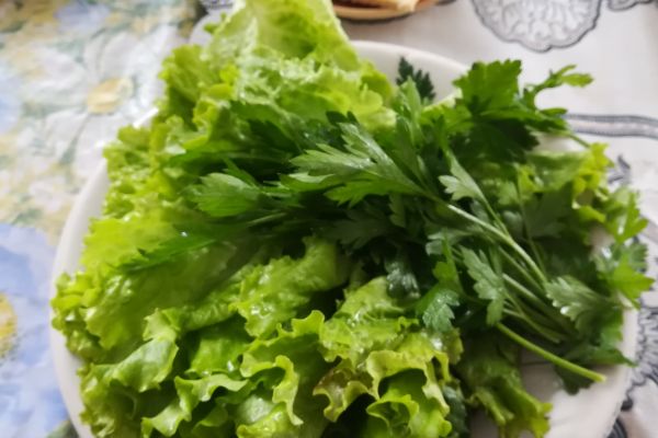 зелень от Юлии Егич