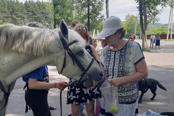 Посещение Зенковского парка в Прокопьевском районе 