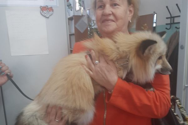 мероприятие, посвященное «Международному дню инвалида»