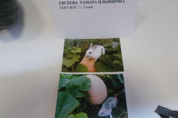 evseeva-t-i-g-topkiC9B48F78-4852-77E2-7D3F-FFBC286766D6.jpg