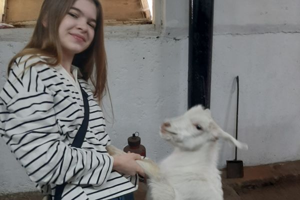 Экскурсия в Зенковском парке 