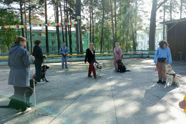 региональный слёт владельцев собак-проводников Кузбасса «Лапы помощи»